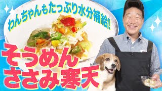 【ドギーマン×みやぞん】夏バテ気味で食欲がない子もパクパク！わんちゃんのための栄養満点ごはん『そうめんささみ寒天』