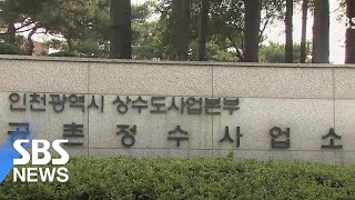 인천 정수장과 가정집 발견 유충, 같은 종으로 드러나 / SBS