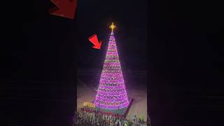 Christmas tree 🎄 ఎలా ఉందో చూడండి 👀😳 #shorts #ytshots #trending #viarlshorts