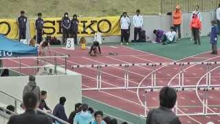 H27　東京六大学対校　オープン110mH　1組