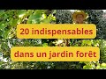 20 arbres, arbustes et lianes indispensables dans un jardin forêt