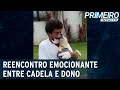 Cadela espera por dono em porta de hospital durante vinte dias | Primeiro Impacto (10/11/22)