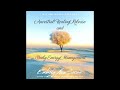 ancestral healing release u0026 energy management w michal anna living light quantum energy meditations