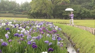 平年より８日遅く中国地方が梅雨入り　近畿・東海・北陸地方でも【岡山】 (22/06/14 11:41)