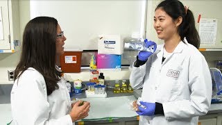 Studying nano-sized food additives at UMass-Amherst | Behind the Science