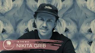 Sounds Of Sirin In The Mix #93 - Nikita Grib