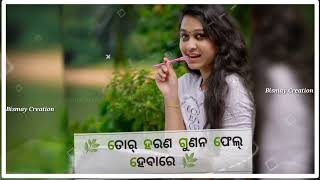 ତୋର୍ ହରଣ ଗୁଣନ🌹ଫେଲ୍ ହେବା ରେ 🌹ପିରତି କଲେ🌹❤️ / Sambalpuri Status / Bismay Creation