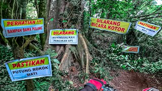 HUTAN DISINI BANYAK LARANGANYA !! Dari Awal Masuk Banyak Peringatan !!! ( TRN #2 )