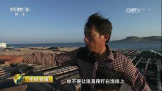 20160919 生财有道  生态中国系列（沿海行）——走进福建莆田