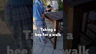 Taking My Pet Bee for a Walk