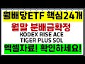 월배당ETF 핵심24개ETF 분배금확정 / 분배율까지 한번에 확인하세요 (Kodex Tiger등 커버드콜ETF포함)