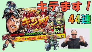 【マッスルショット】肉フェス44連で今回もキテます！キテます！☆5出過ぎもこれはトリックなしよ！