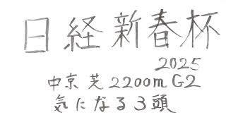 日経新春杯2025 GII 気になる3頭