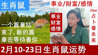 生肖鼠🐀一个篇章结束了, 新的篇章在等待着你🌞阳历25年2月中10-23日