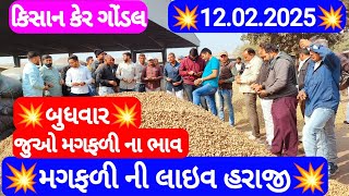 નવી મગફળીના બજાર ભાવ | મગફળીના આજના બજાર ભાવ | ગોંડલ મગફળીના ભાવ | Gondal marketing yard 12.02.2025