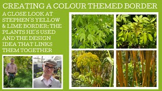 How to create a colour themed garden border