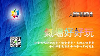 AVS氣場儀~高功能通靈狀態的氣場研究(一)