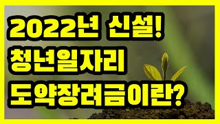 2022년에 새로 생긴 청년일자리 도약장려금은 뭘까?