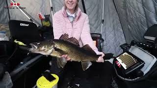 WALLEYE CRUSHES THE MINNOW SPOON! | Freedom Tackle