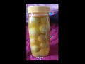 ఉసిరి కాయలు నిల్వ చేయడం how to amla preserve in salt water amla recipes