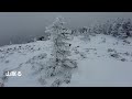 【西岳・網笠山：冬】厳冬期、雪深き樹林の先へ