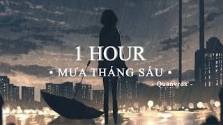 Mưa Tháng Sáu - Văn Mai Hương x Grey D x Trung Quân x Quanvrox「Lofi Ver.」/ 1 Hour Lyrics Video