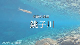 【水中映像】Choshigawa Blue　冬の銚子川の水中を見てみよう　奇跡の清流〜三重県紀北町〜