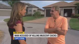 Cape Coral man shooting Muscovy ducks can legally do so