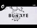Bonsaye - Summer Lilac