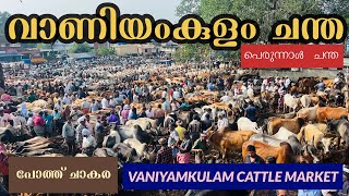 കന്നുകാലികൾ കൊണ്ട് നിറഞ്ഞ് Vaniyamkulam Cattle market  | കേരളത്തിലെ ഏറ്റവും വലിയ ചന്ത #buffalo #cow