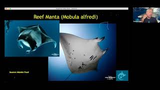 Magical Mantas- science and education dive expeditions with Blue Endeavors and Shark Stewards