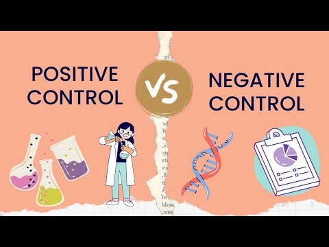 What is positive control in an experiment?