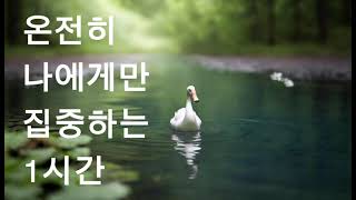 신비로운 자연속에서 집중하는 1시간. 공부,휴식,명상 1시간 집중.One hour of concentration on nature sound music