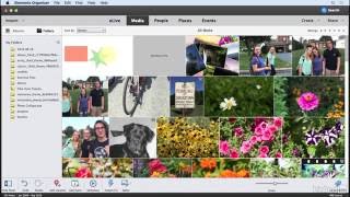 Photoshop Elements Tutorial - Adding graphics to an image
