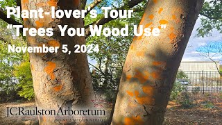 Plant-lover's Tour - Trees You Wood Use