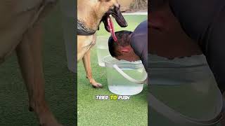 Owner couldn't trick the smart dog