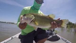 Lake Granbury Absolute Hog!