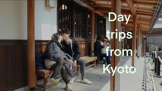 🍃day trips from kyoto🍃 Part 4: Visiting Uji, Nara, and Wazuka (Day 6 \u0026 7)