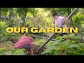 Country House Organic Garden Korean Family in Philippines | Organic Gardening in the Philippines