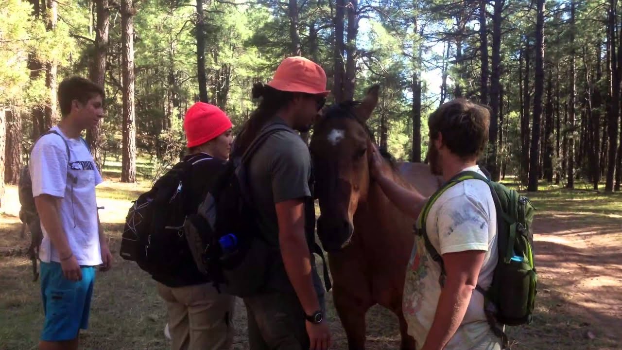 Back2basics Outdoor Adventures Journeys To Recovery 2013 2014 Youtube