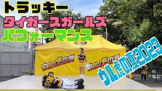 2023.7.30 @阪神甲子園球場 ウル虎の夏2023 タイガースガールズダンスパフォーマンス #阪神タイガース #タイガースガールズ #トラッキー