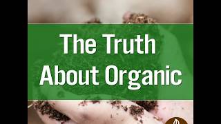 Can Organic Feed the World?