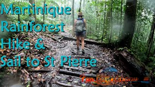 Martinique Rain Forest and Sailing to St Pierre S8Ep11