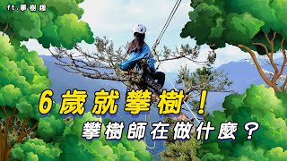 樹梢上的攀樹師－攀樹體驗安全嗎？小孩攀樹的好處？ft.攀樹趣