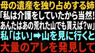 【スカッとする話】母の遺産を独占する姉「私は介護してたから当然！あんたはあの荒れた山でも貰えば？w」私「はい…」試しに山に行ってみると不思議なあるものを発見した私「こ…これは！」【修羅場】