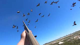 Long Neck Goose Hunting (Big Canada’s) in James Bay, 2024