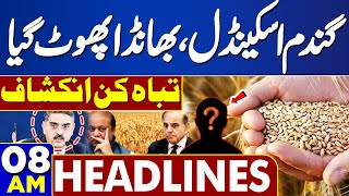 Dunya News Headlines 08 AM |  Who is Involved in the Wheat Scandal? Wheat's Price?? | 6 MAY 2024