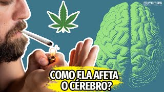 A maconha faz mal para o seu cérebro?