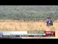 Demetrios Papademetriou on the horrors of the EU migrant crisis