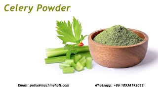 Organic Celery Powder Supplier And Manufacturer